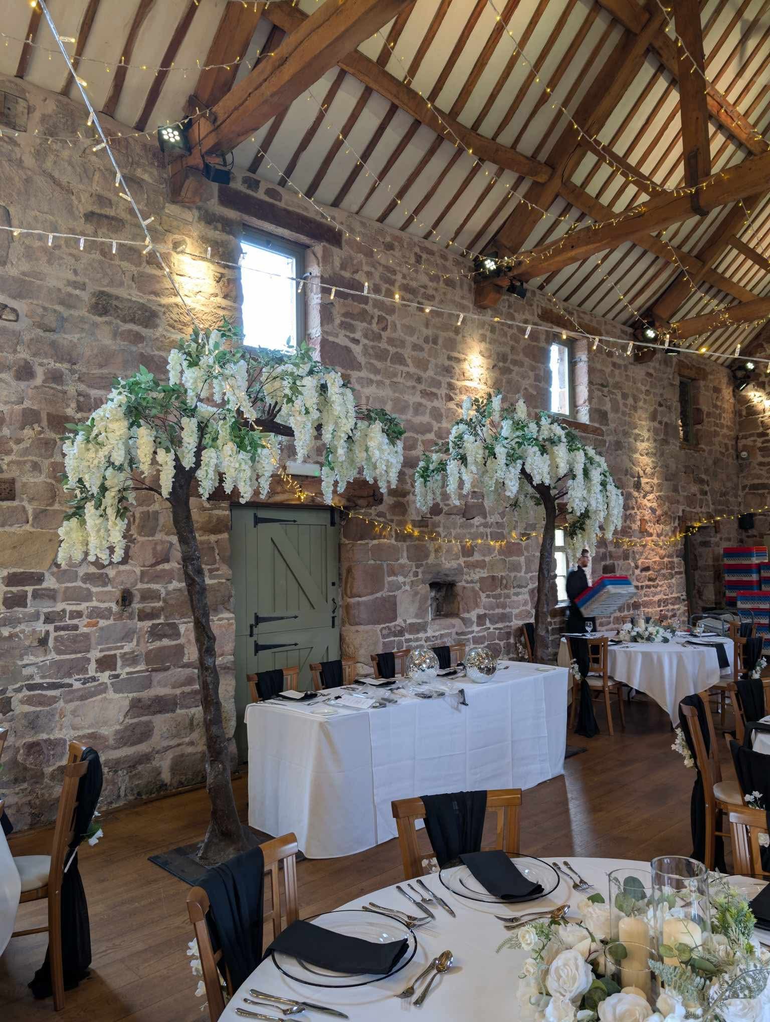 Wisteria trees ashes barn